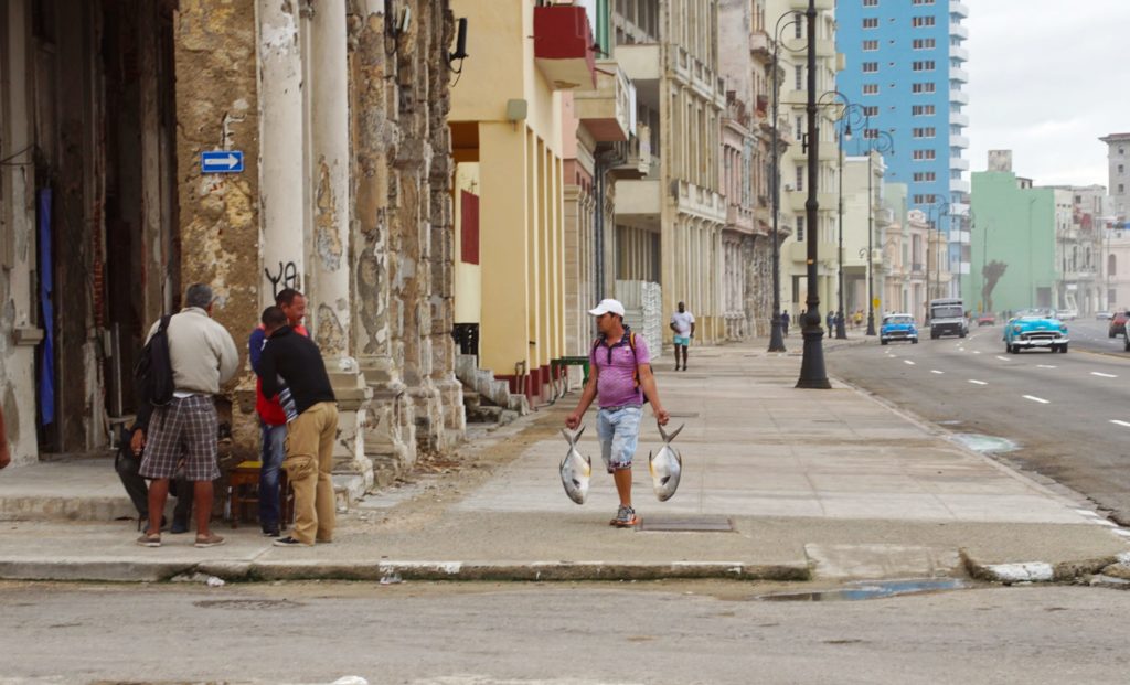 Fresh fish, the Cuban way.