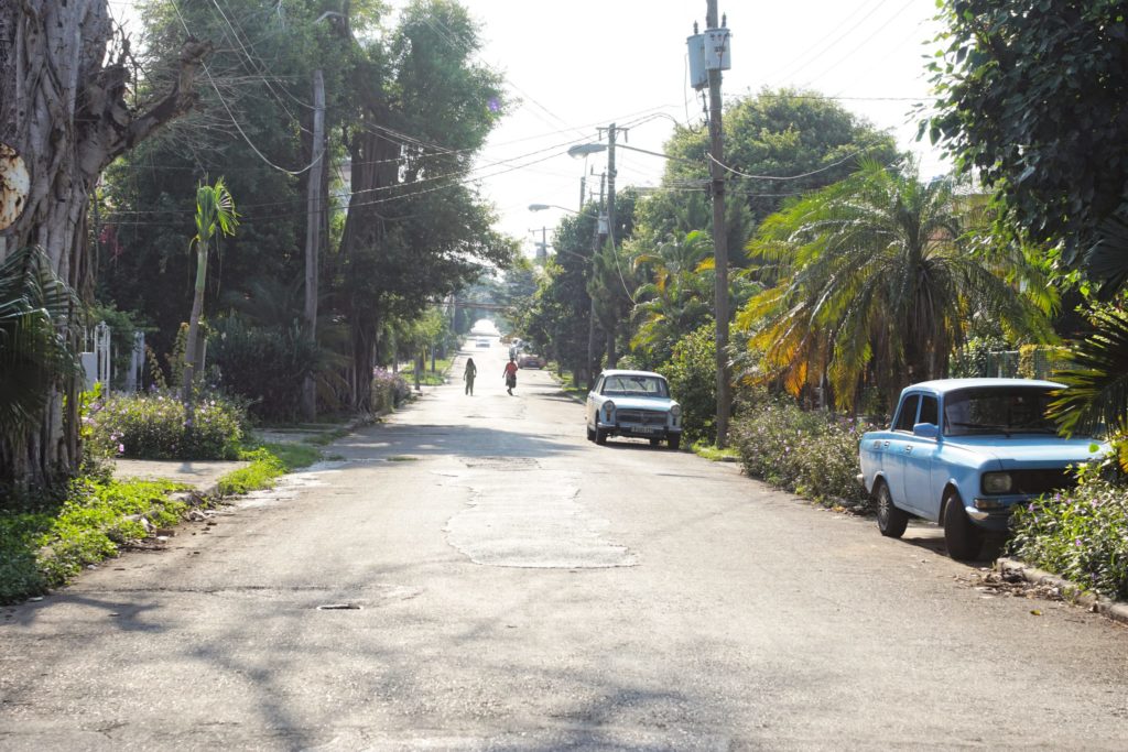 Wide suburban streets almost devoid of people and cars.