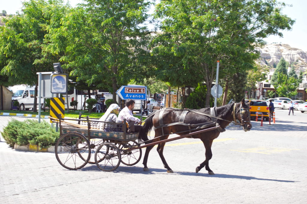 Saddle up Ol' Bessie; we're headin' into town for supplies, Ma.