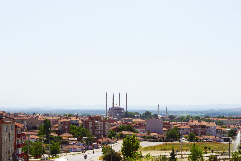 A few of the 82,000+ mosques in Turkey.