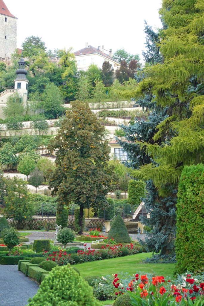 The garden holds many different species of trees.