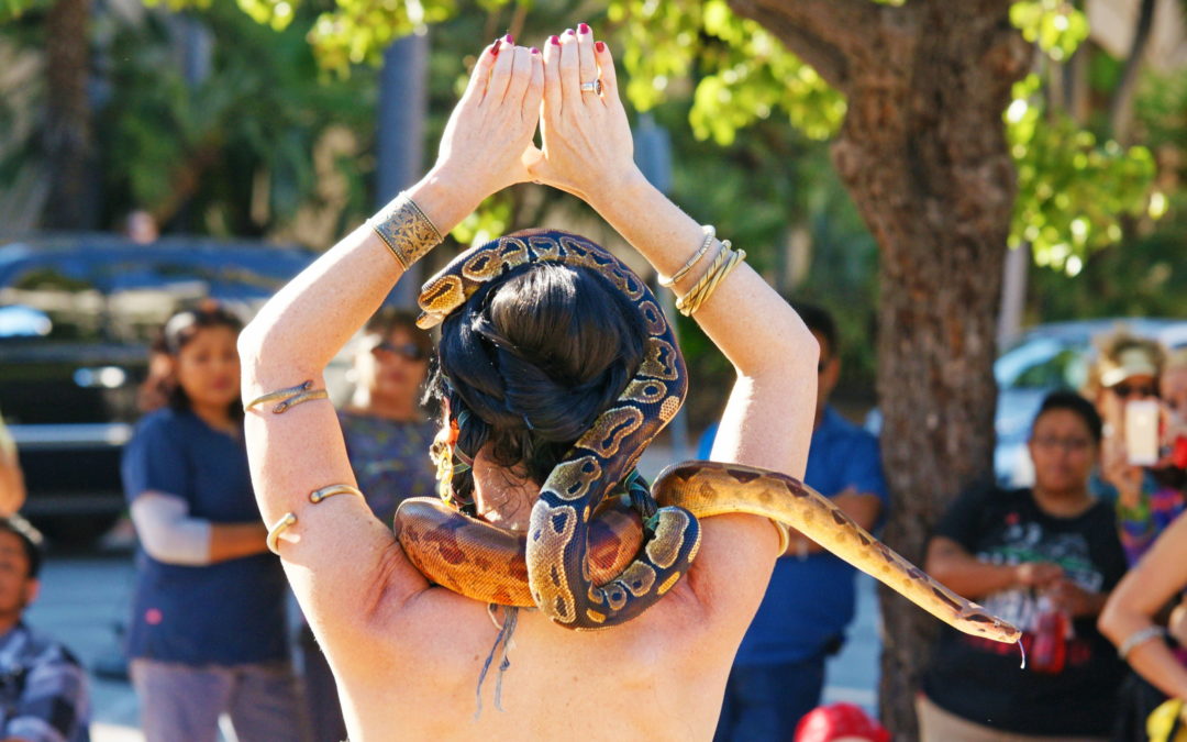 Belly Dancing - awa Travels