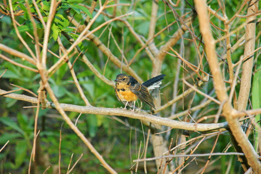 Awwww, he's just a kid!