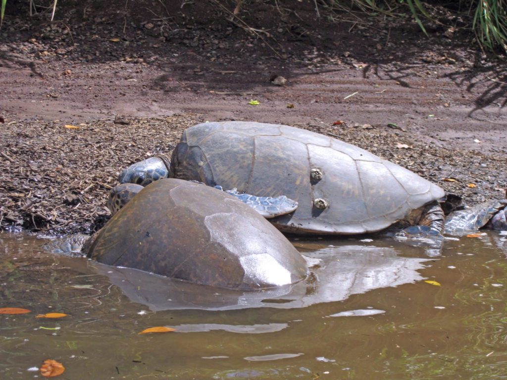 The river's namesake.