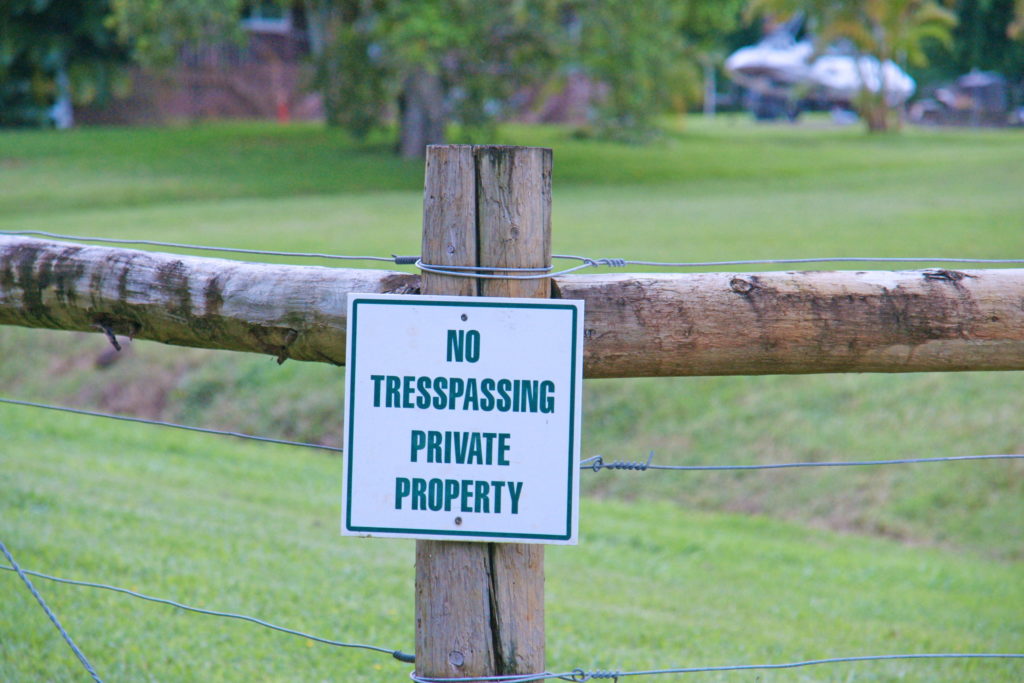 Just what are you trying to say?