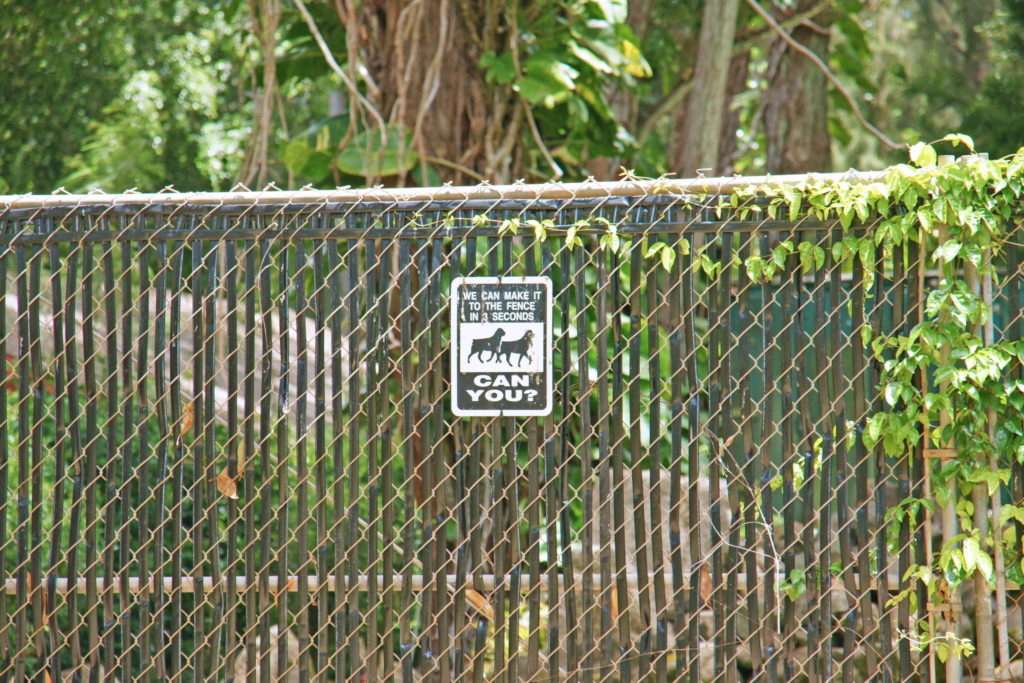 Is this really necessary?