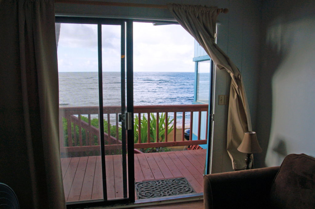 The view from our living room.