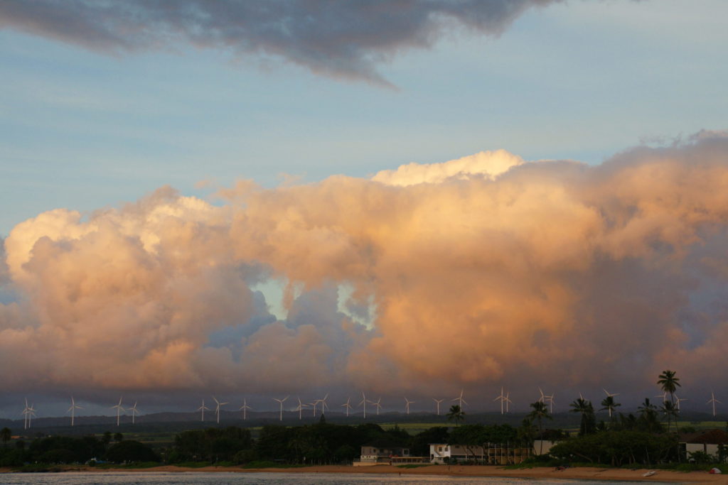 Even though this is a farm, they don't actually harvest the windmills.