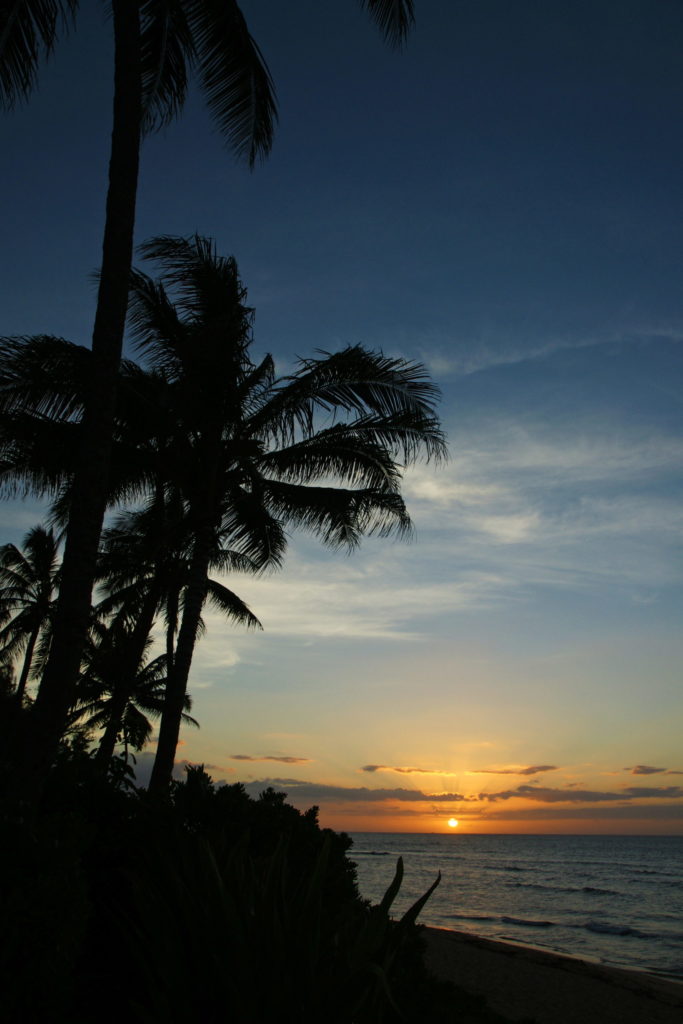 Those are not two legs; just two logs.