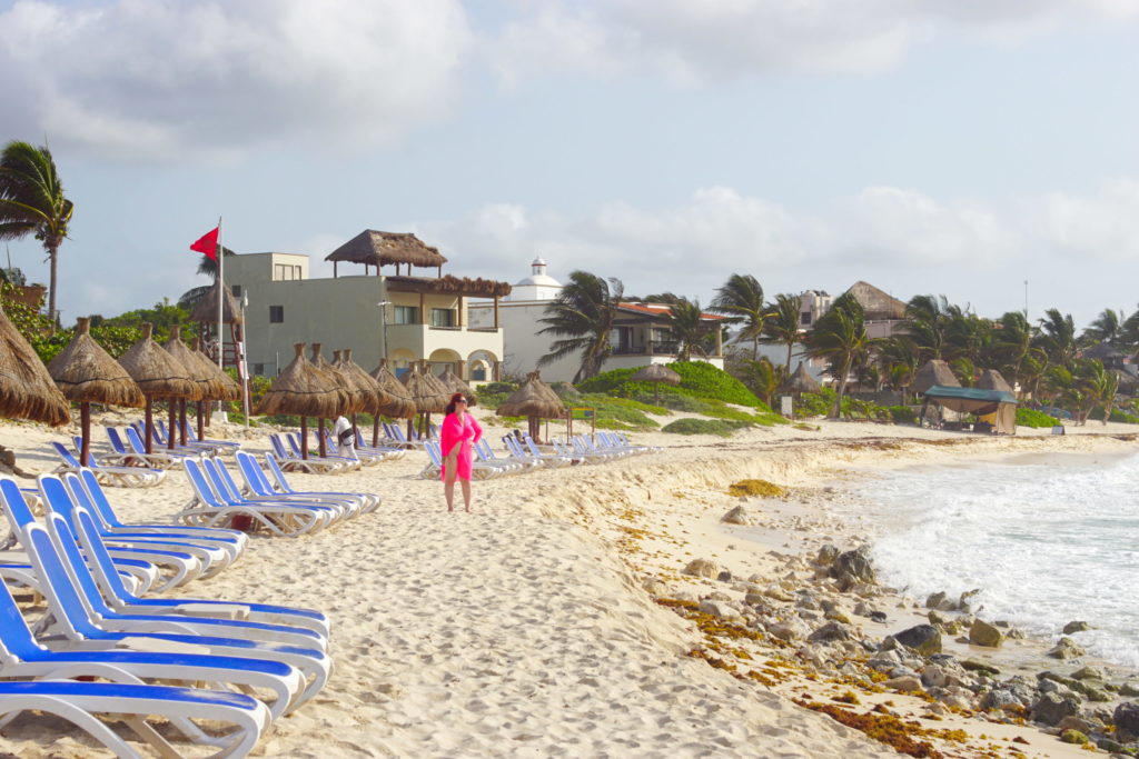 Sargassum by the resorts.