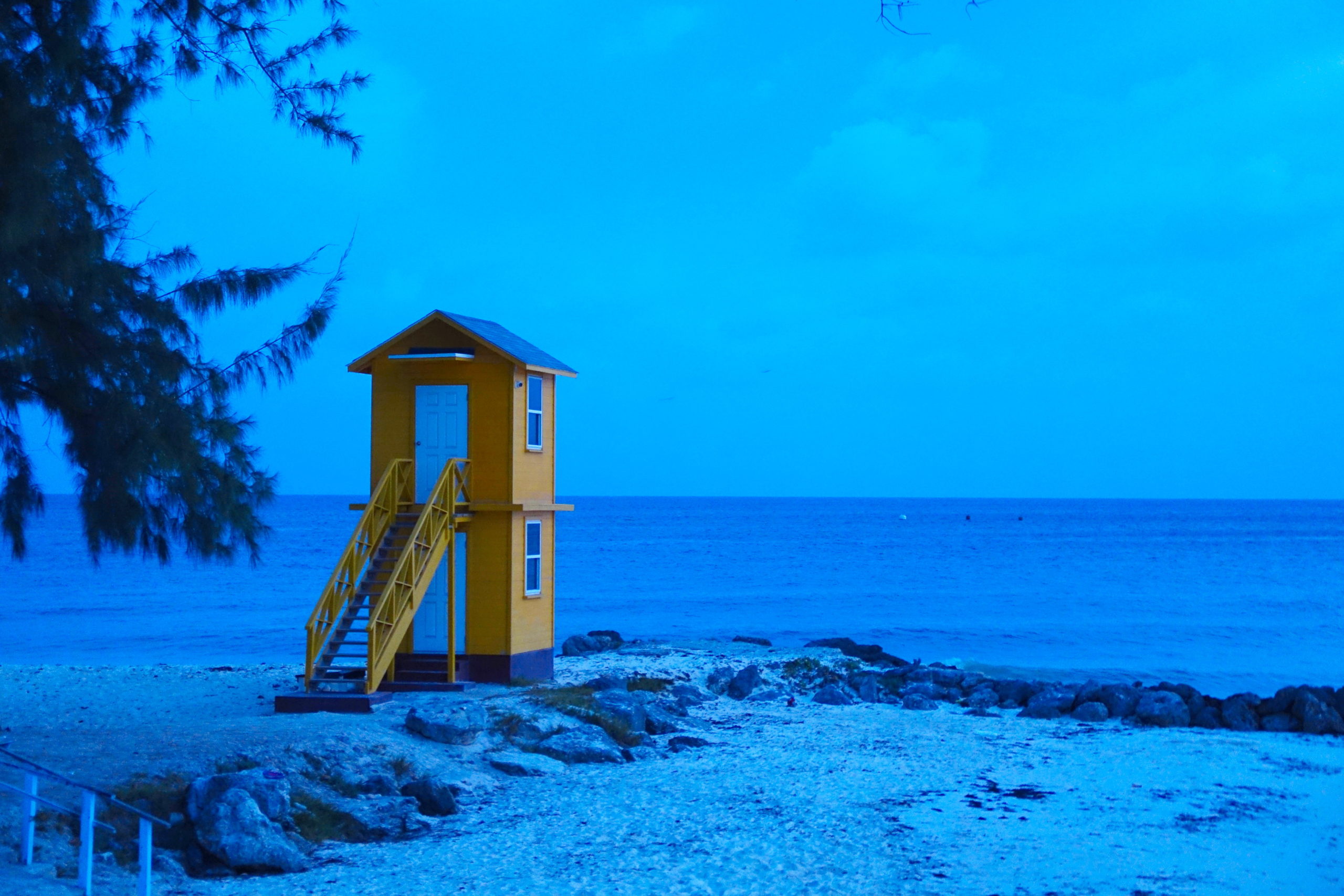 Blue Barbados.