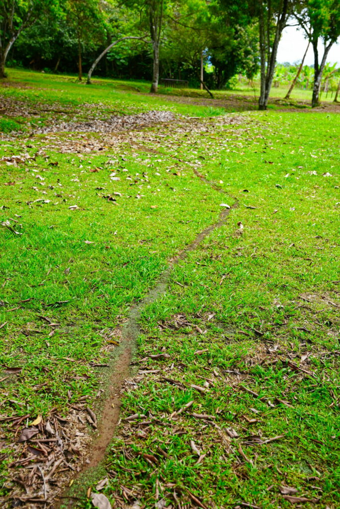 Leave nothing behind but footprints.
