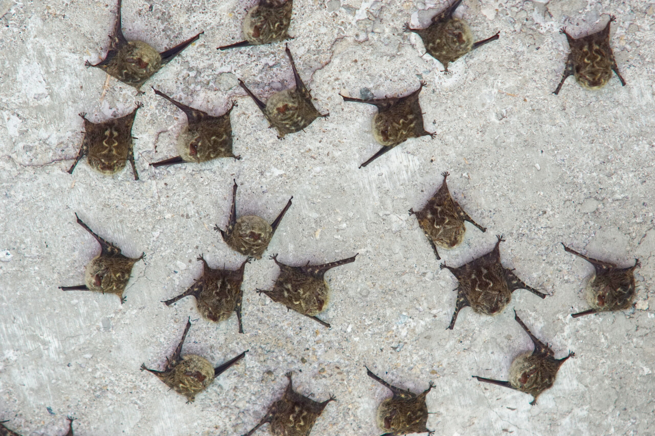 Hooks. It's all about hooks.