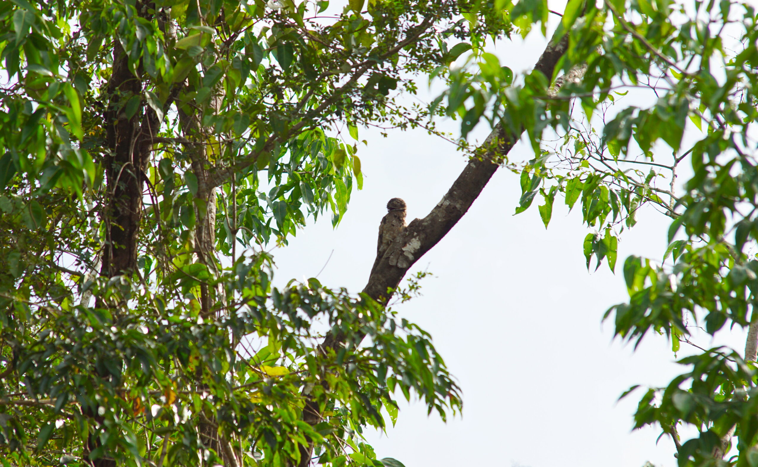 What the heck is that?