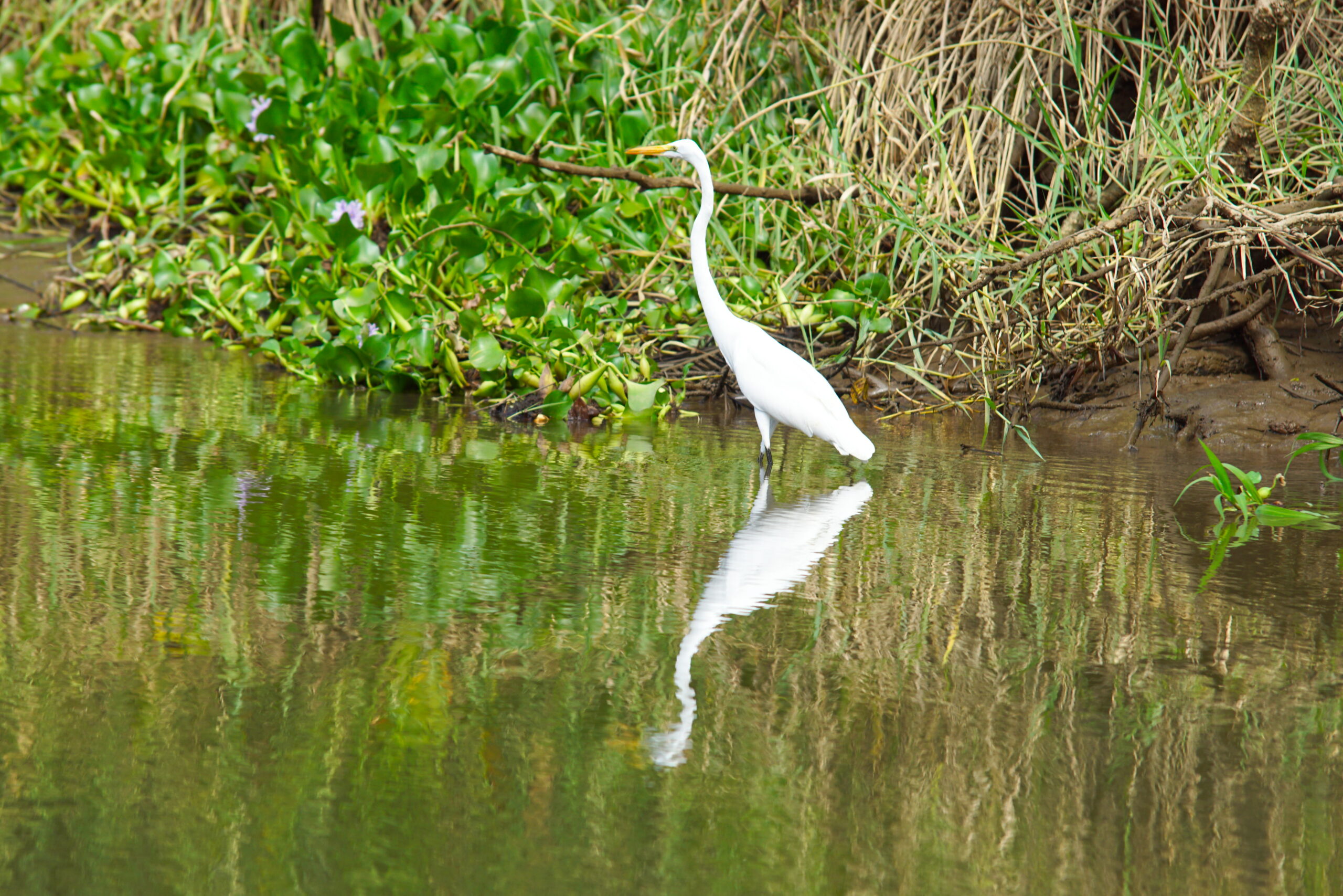 Look at me. I'm great!