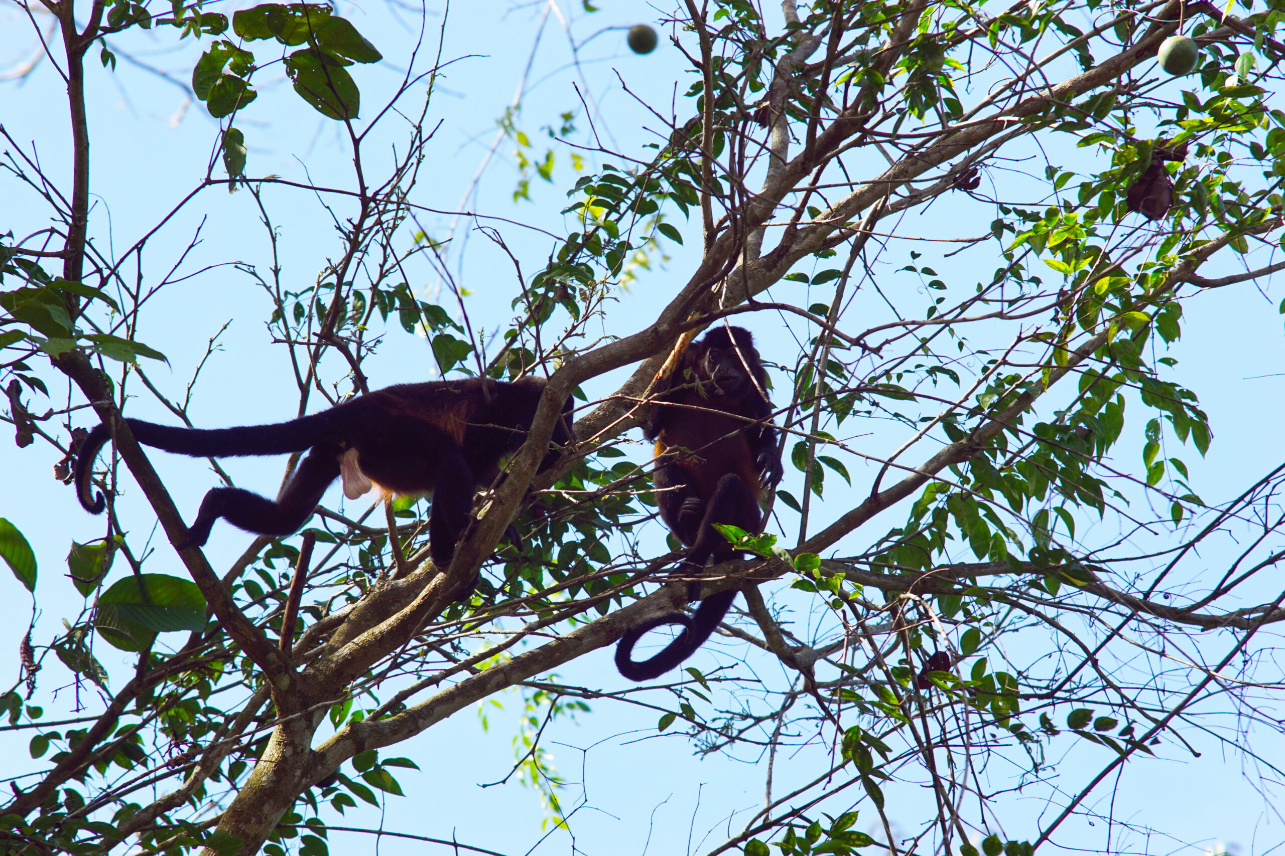 Doesn't this seem dangerous?