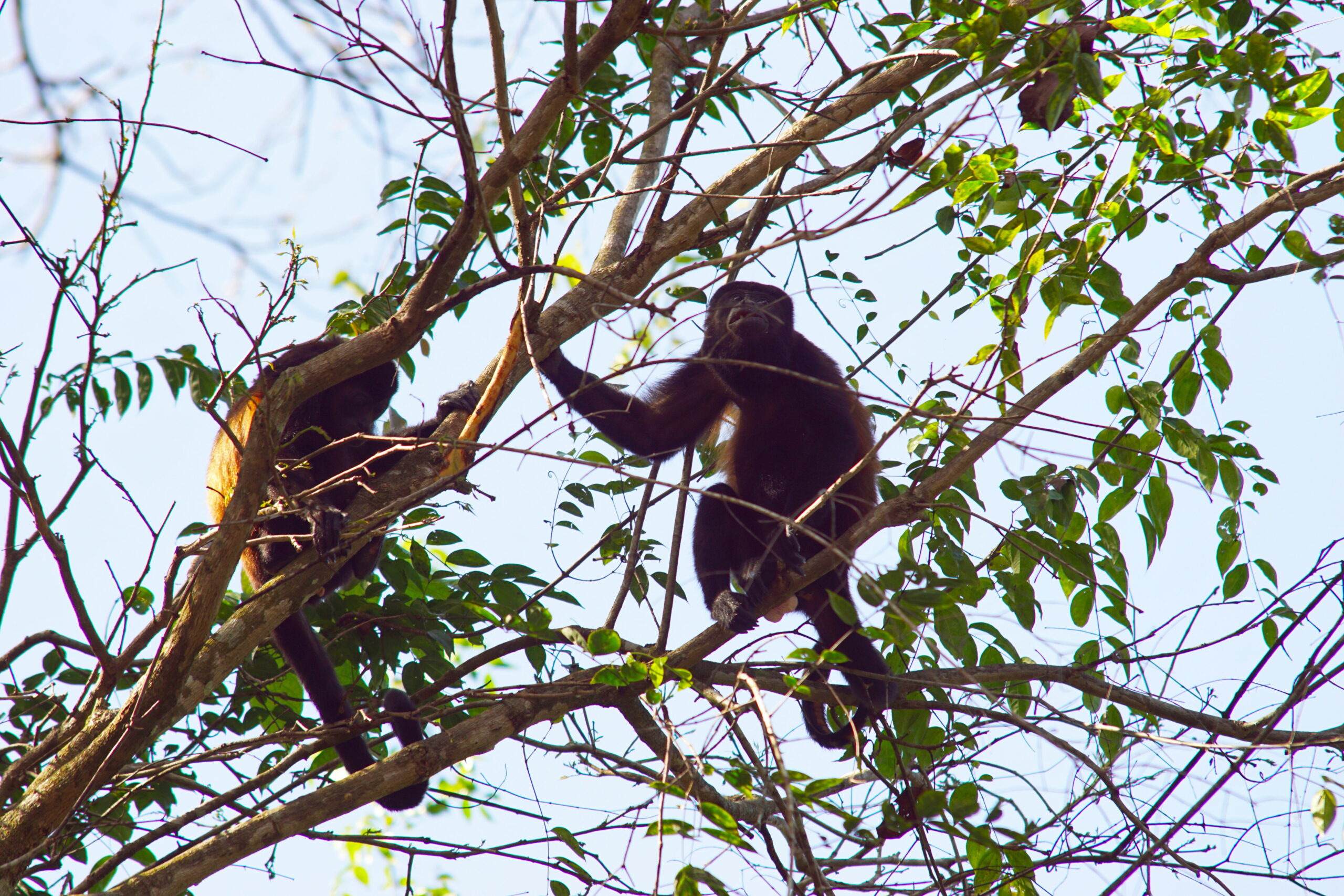 Yes, this is dangerous. I don't recommend it.