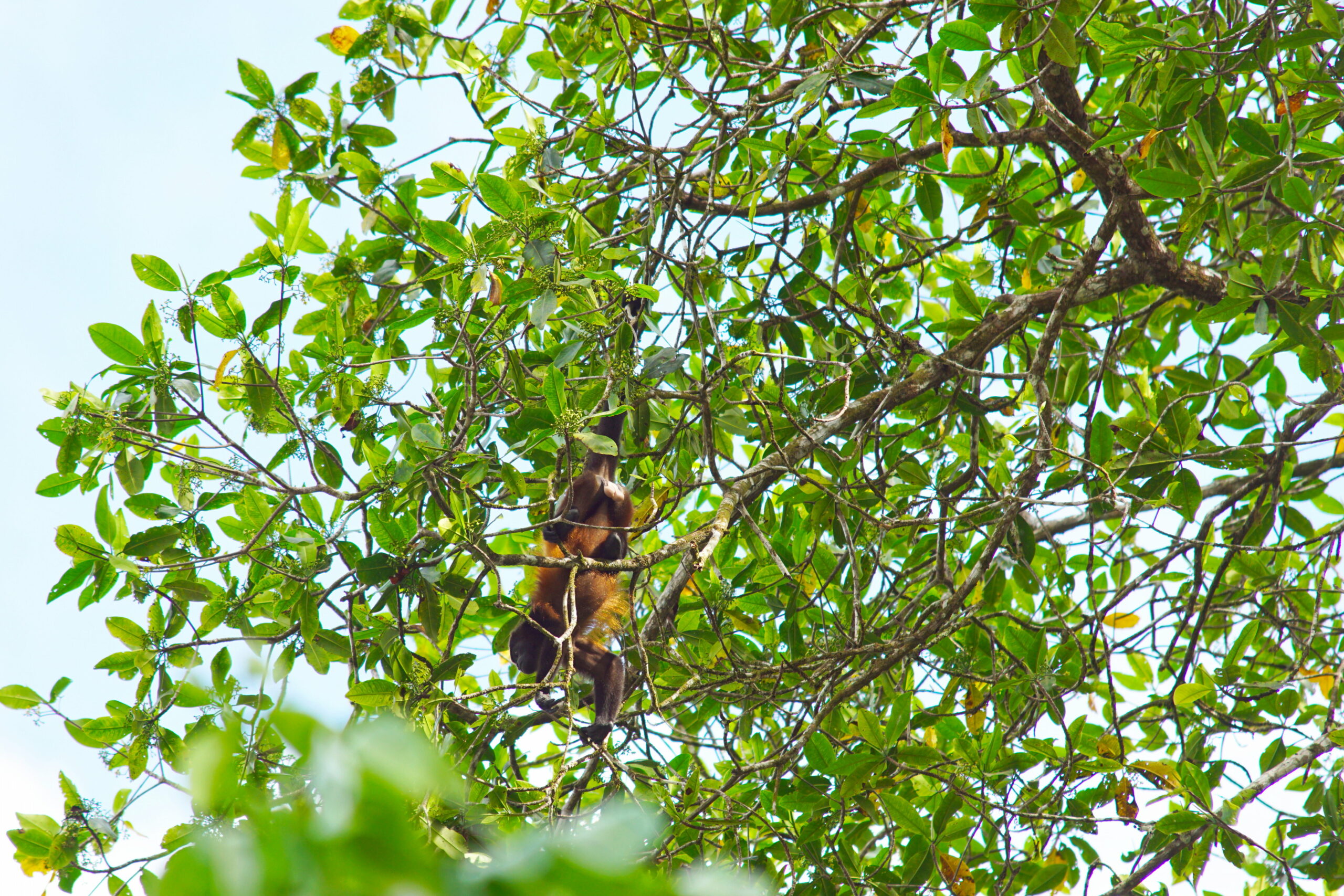 Living in tree dimensions. (That's a joke, son.)