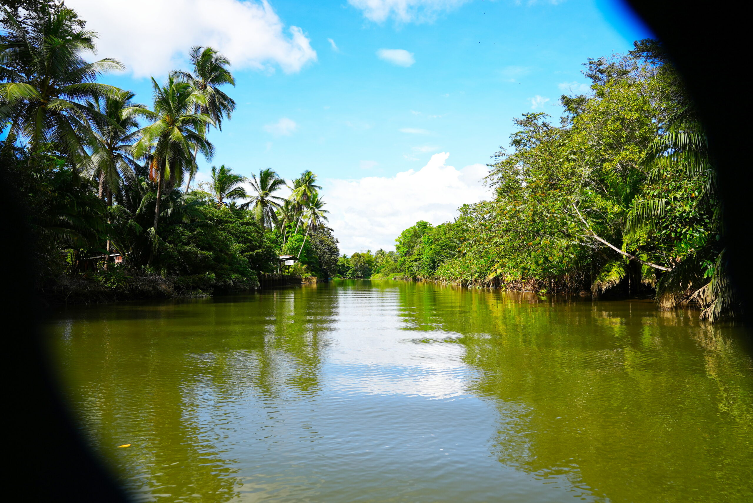 Yeah, it's pretty green here.