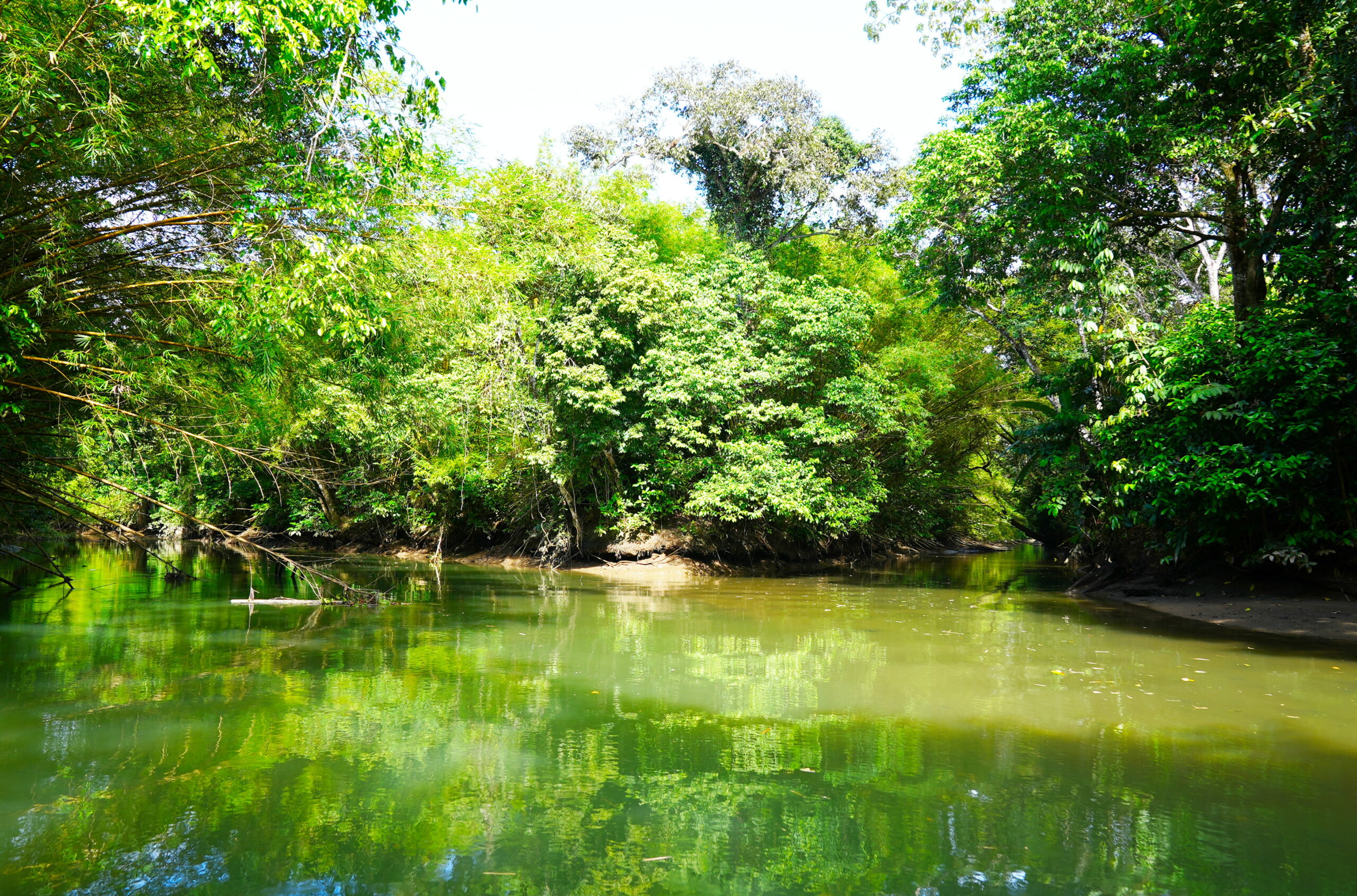 Lots of places to hide.