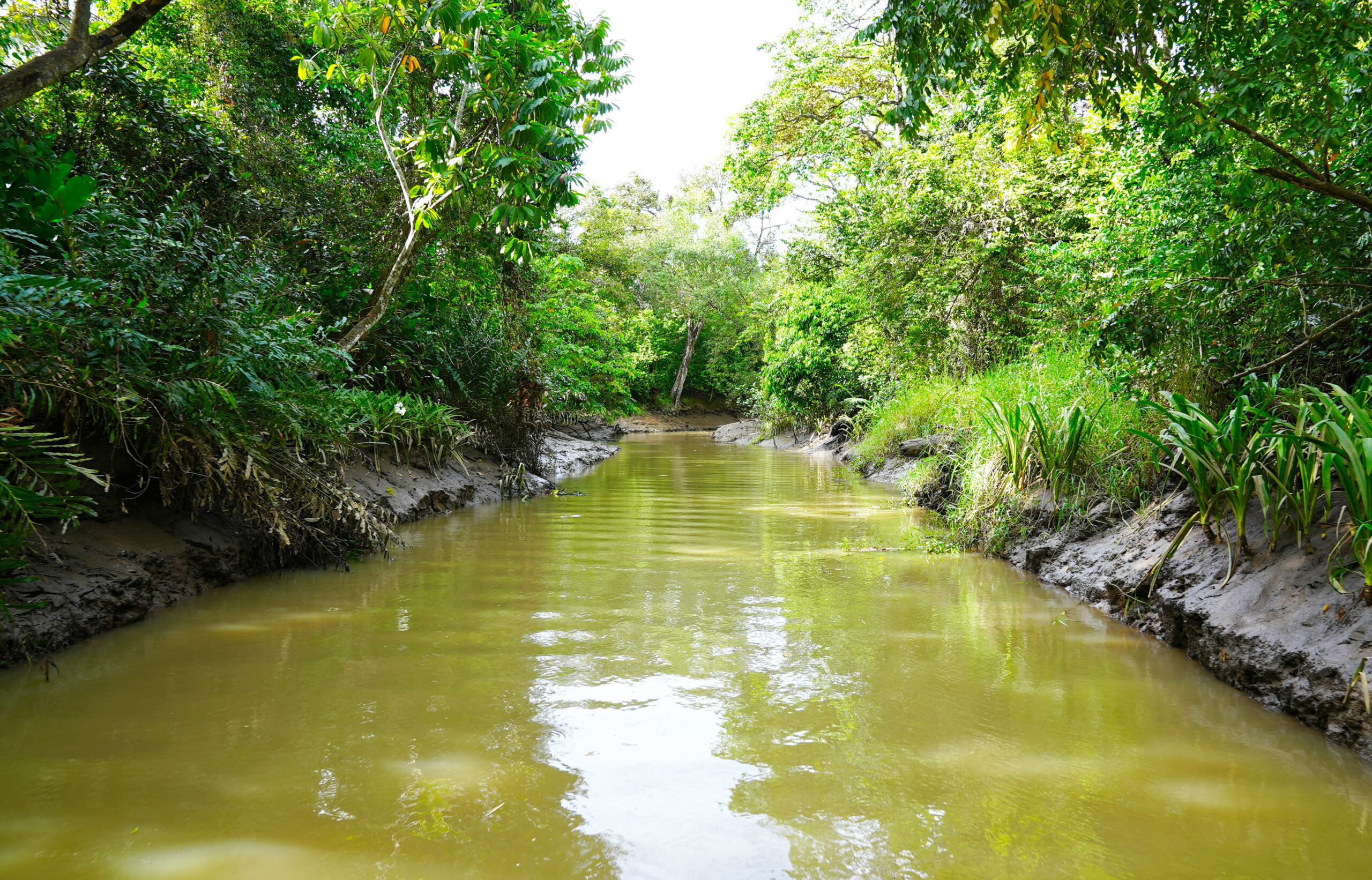 Water and mud make things brown.