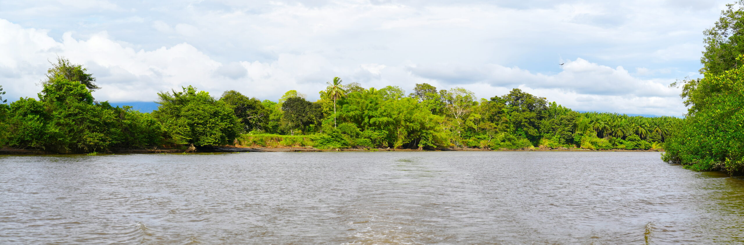 The main part of the river.