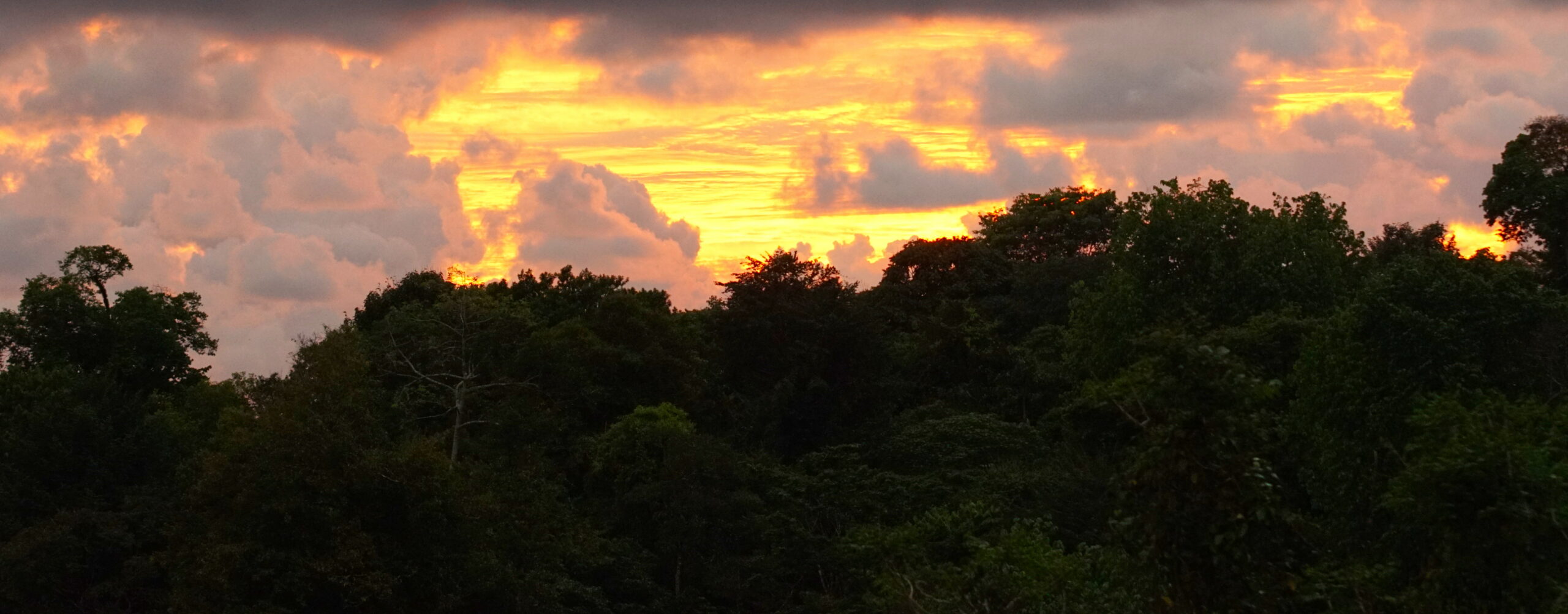 A perfect end to a perfect day.