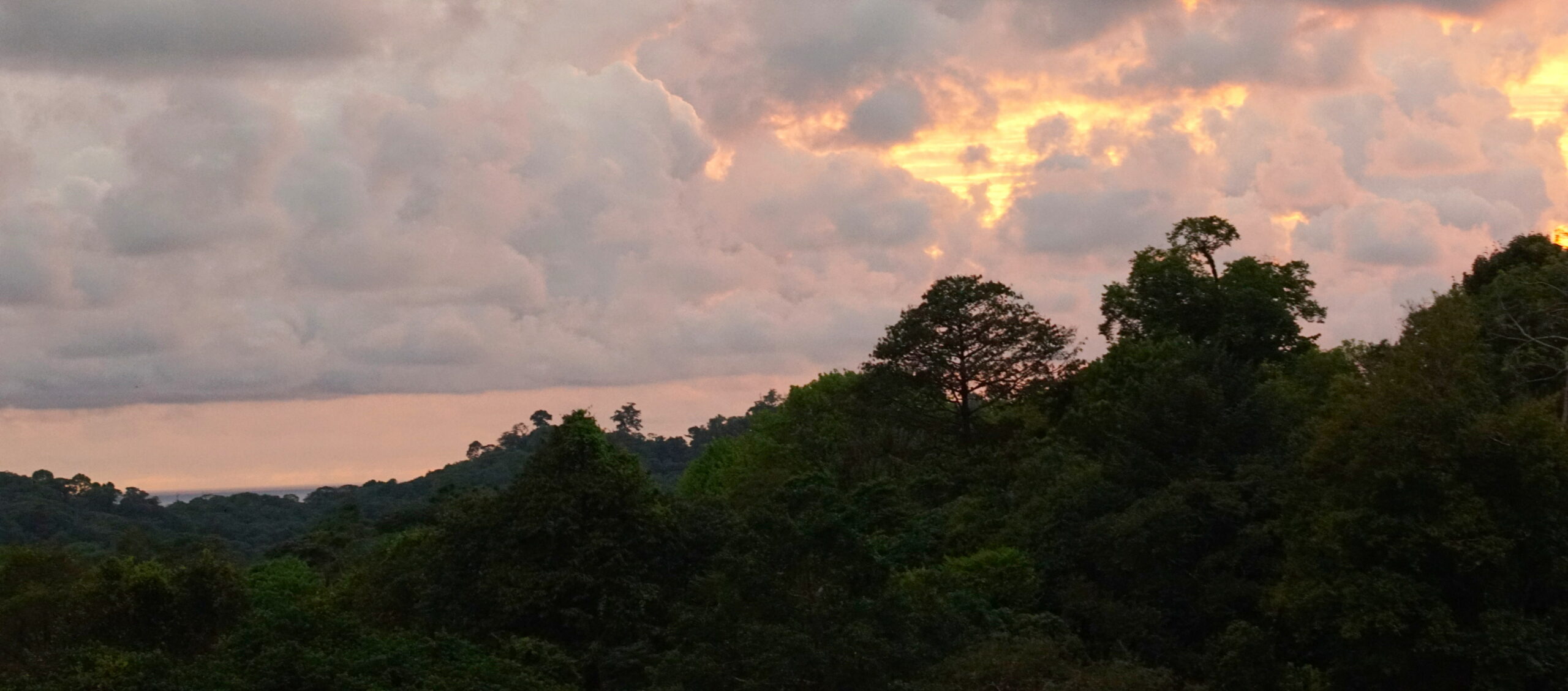 Yes, it rains in the tropics.