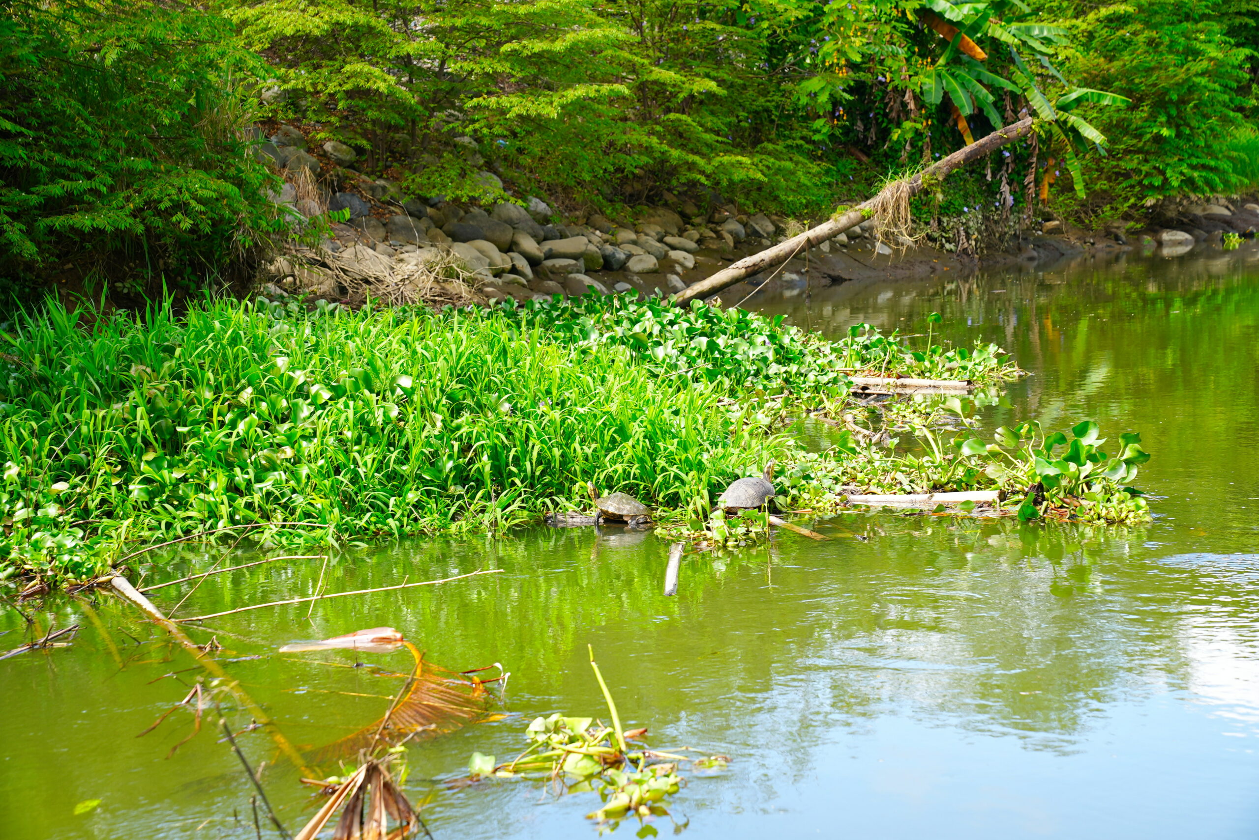 Chillin' with his mates.