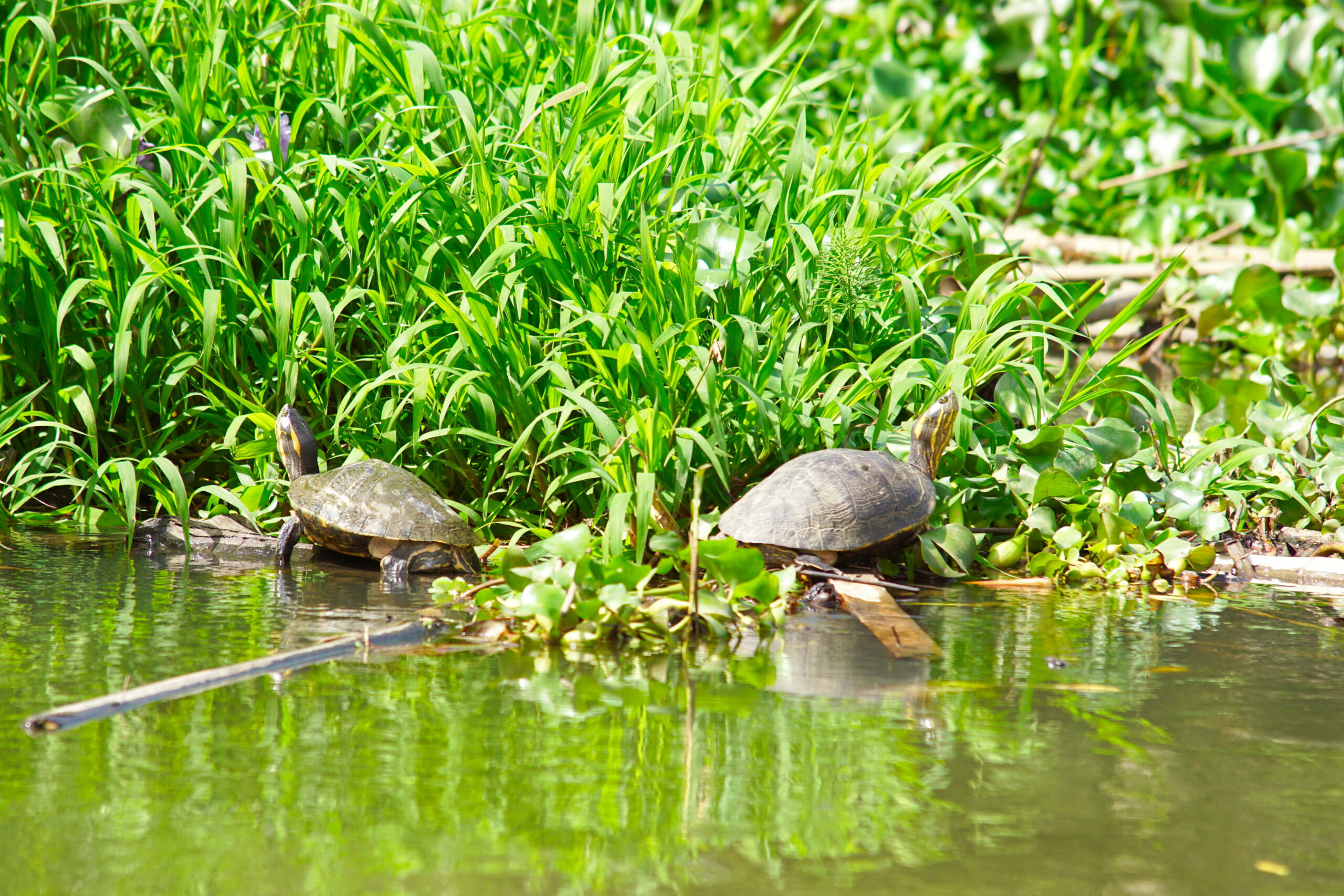 Look to the stars, son, look to the stars.