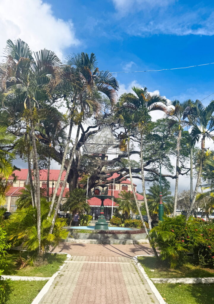 A small park in the city.