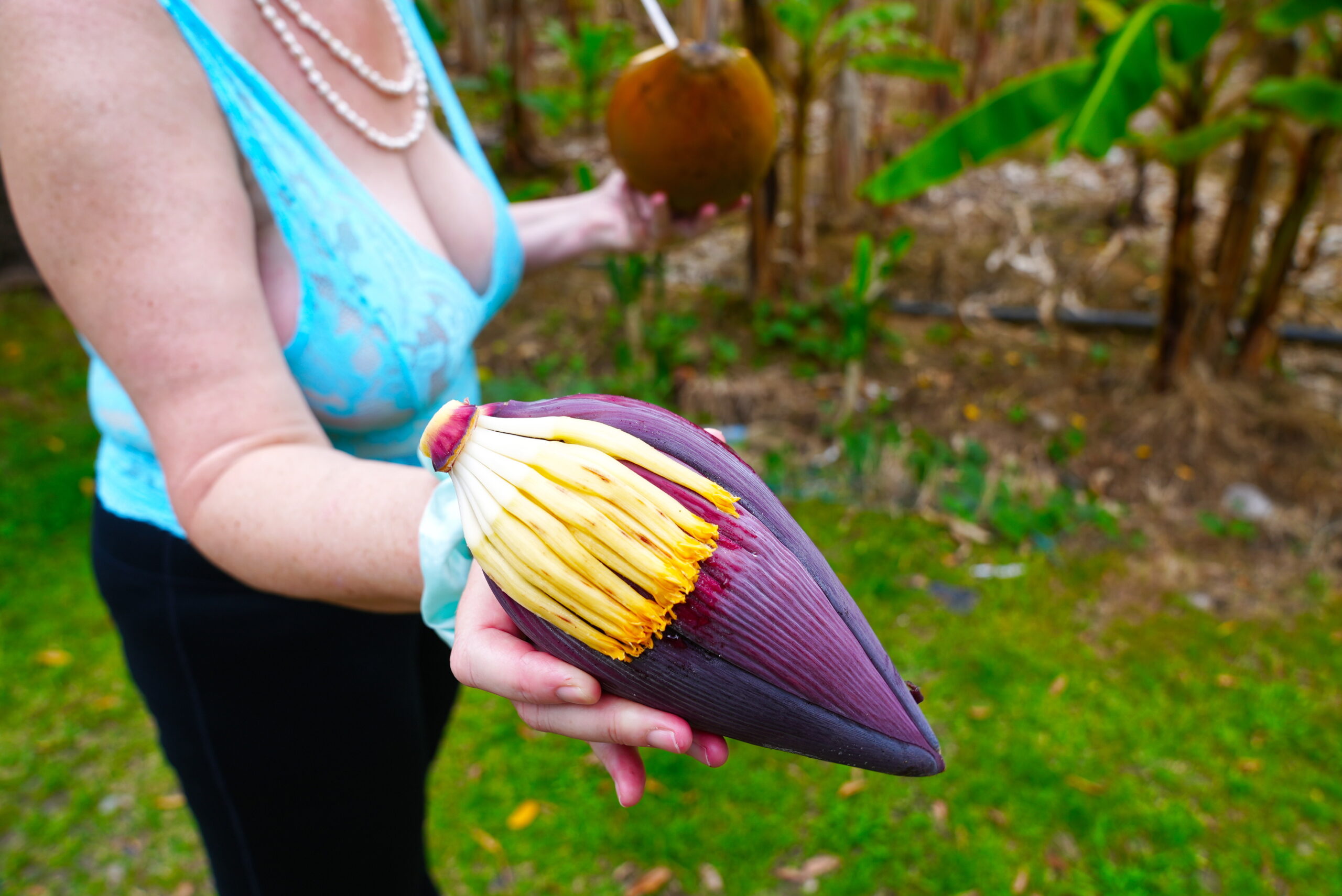 Yet another mystery fruit.