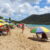 Loving St. Lucia – Part 3