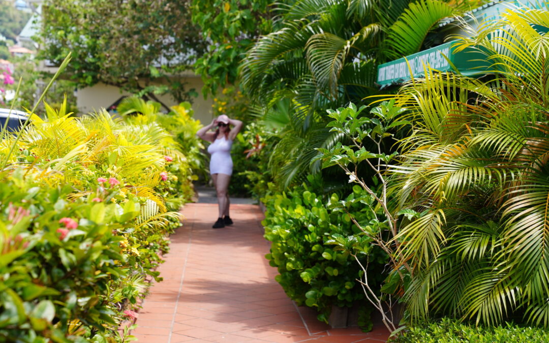 Loving St. Lucia – Part 4