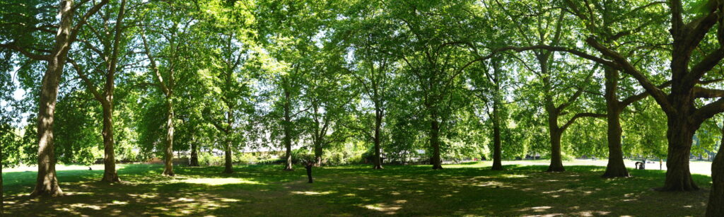 A proper English park.